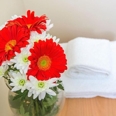Peaceful Renovated Apartment Near Lycabettus Hill 아테네 외부 사진